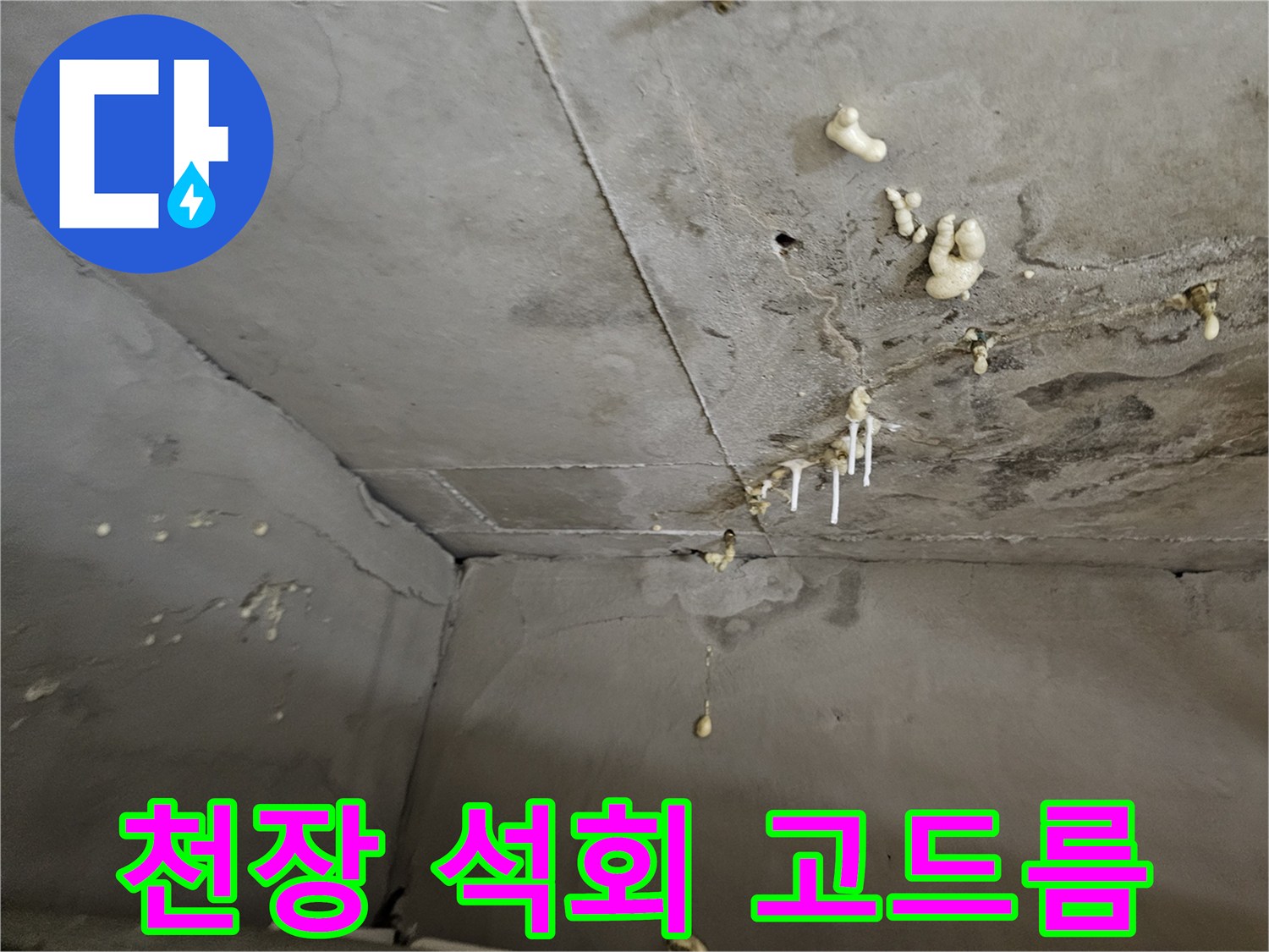 화장실-천장-콘크리트-슬래브에-맺힌-하얀색-석회-고드름