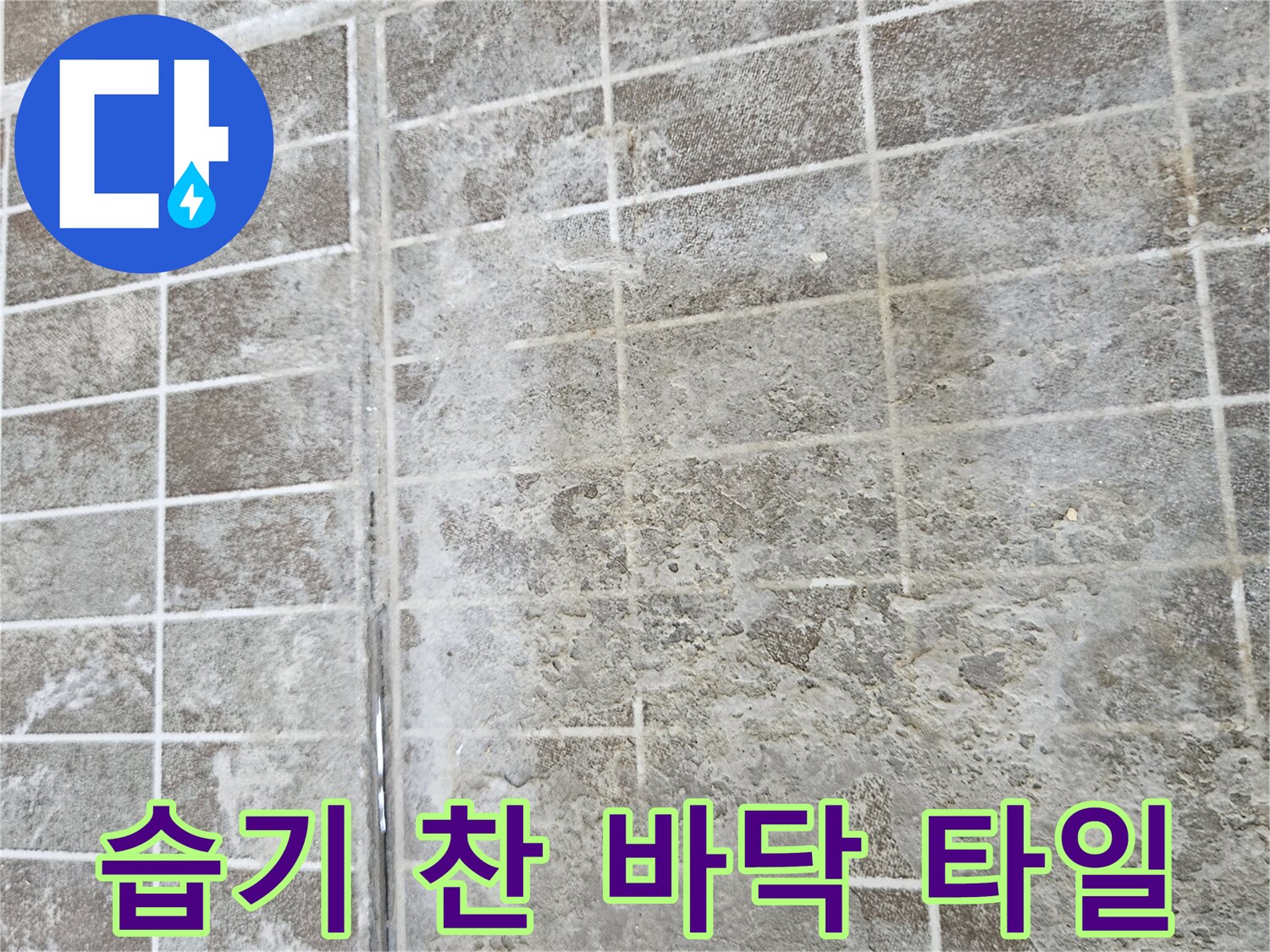 화성 진안동 현장-습기가 배어 나온 타일 표면 상태