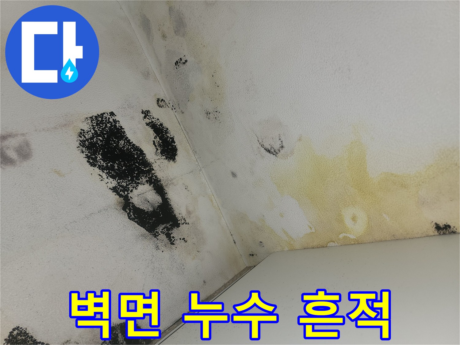 누수-흔적으로-변색된-화장실-천장-및-곰팡이-번짐현상