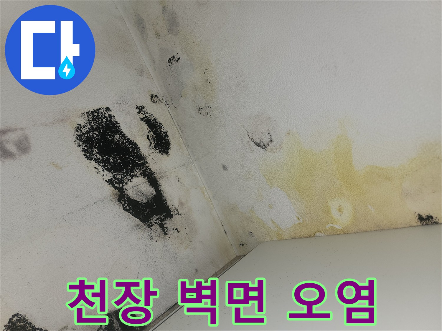 누수가-진행된-화장실-벽면의-곰팡이와-물자국-현황