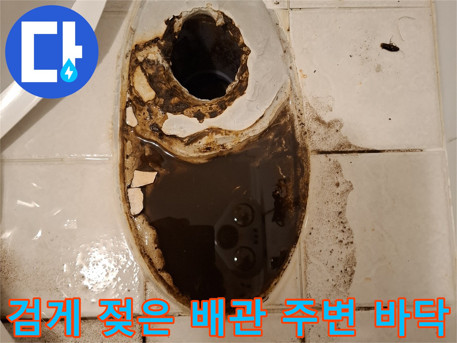 변기-탈거-후-드러난-배관-주변의-심한-오염