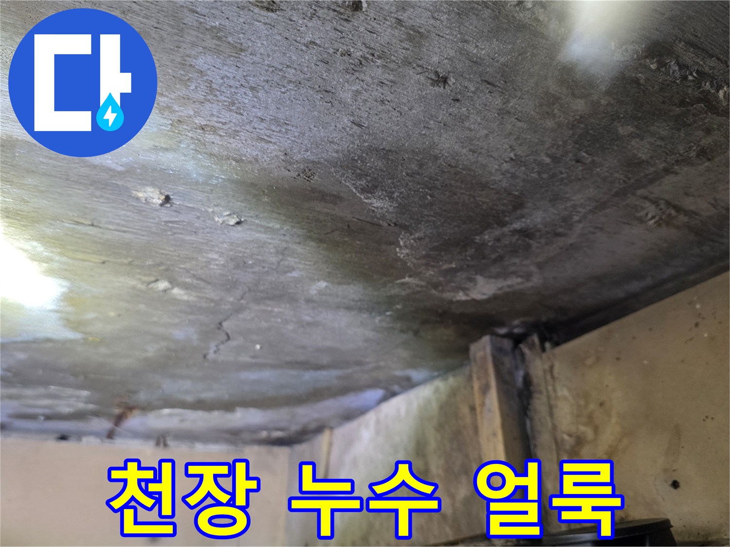 분당 구미동 아파트 천장면의 넓은 물자국과 습기 흔적