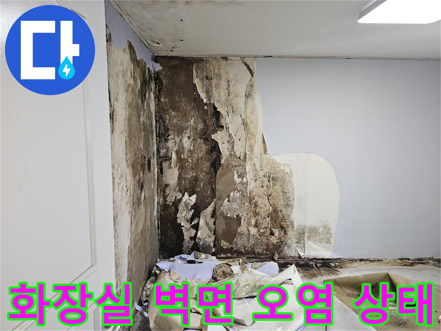 도봉구 아파트 화장실 벽면의 곰팡이와 습기로 인한 마감재 탈락 현상