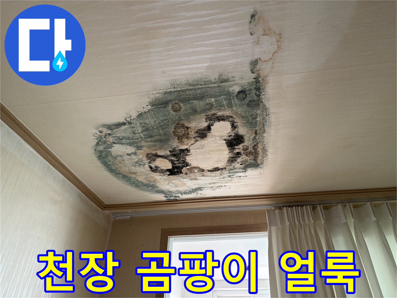 부천 도당동 아파트 - 천장 벽지에 발생한 광범위한 곰팡이와 물자국