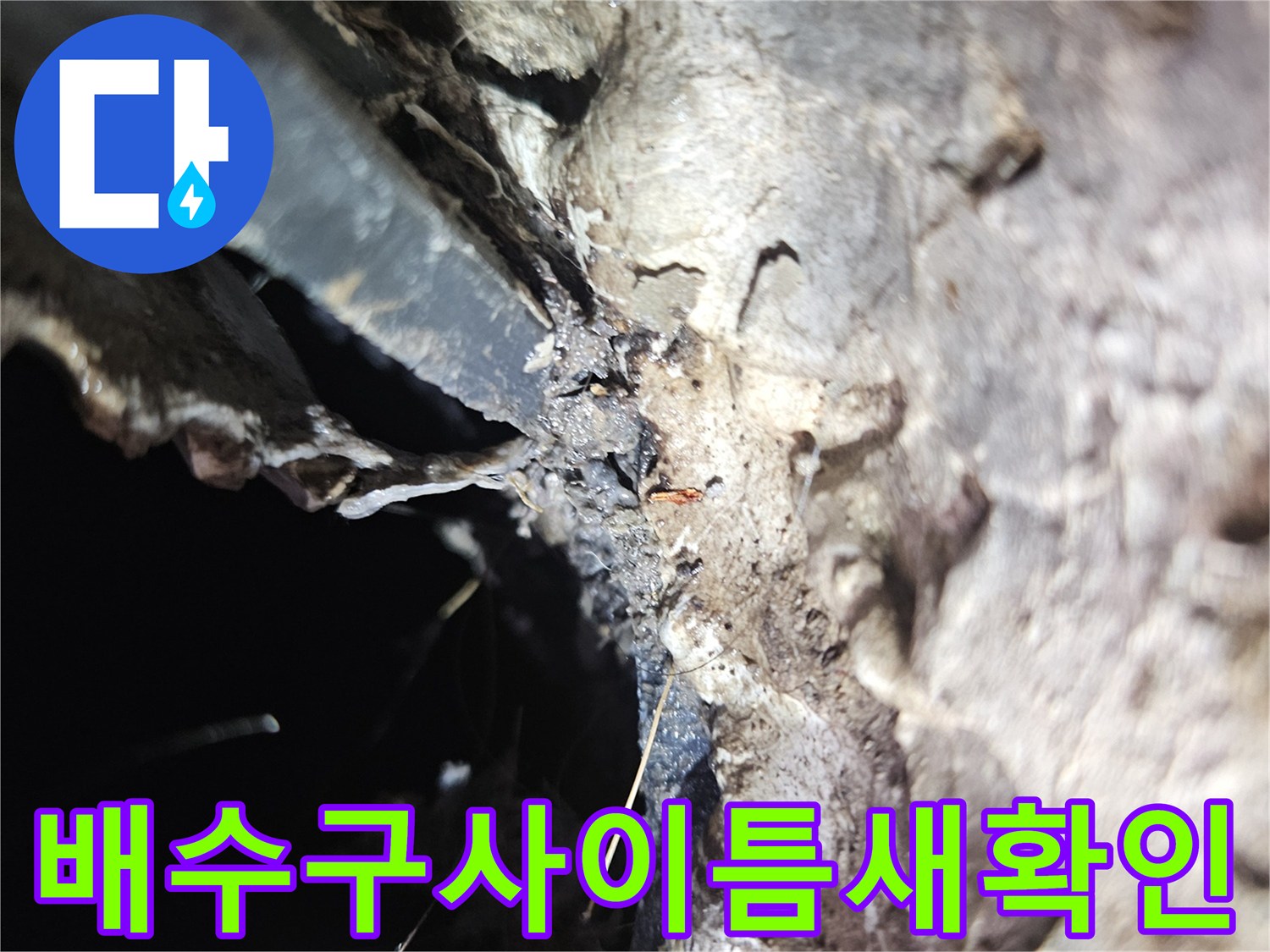 하수구-유가-및-배수-호스-접합-부위의-누수-징후