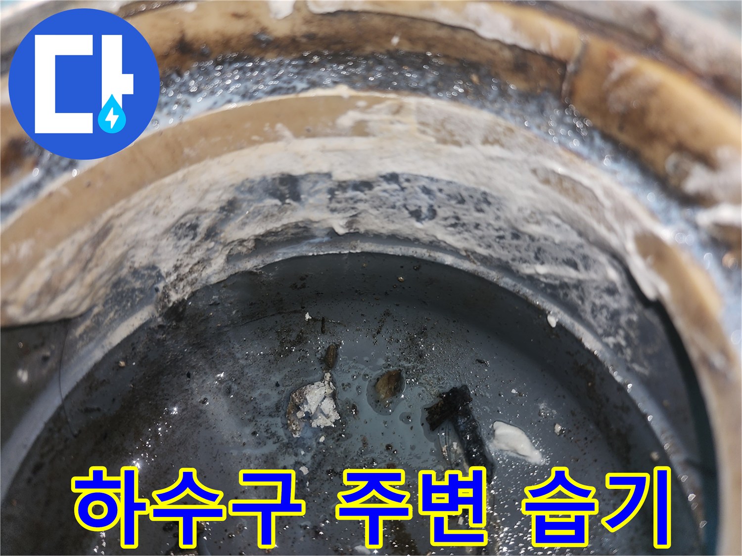 베란다-배수구-주변-습윤한-상태-사진