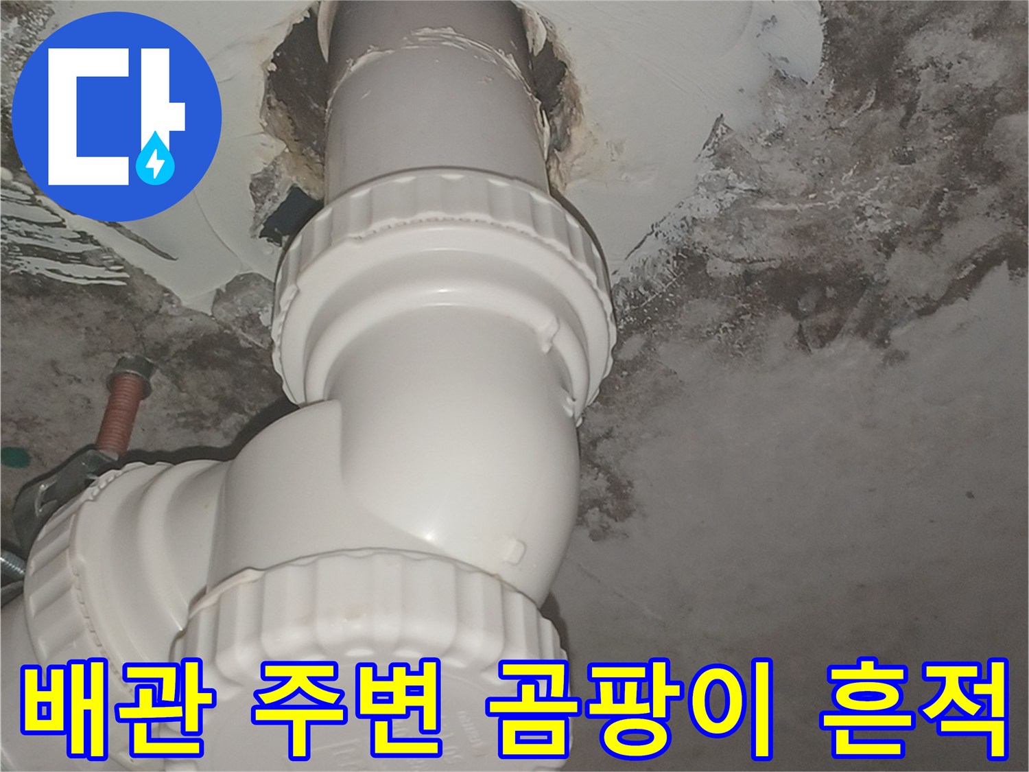 배관-연결부-주변의-심한-습기-및-곰팡이-발생-상황