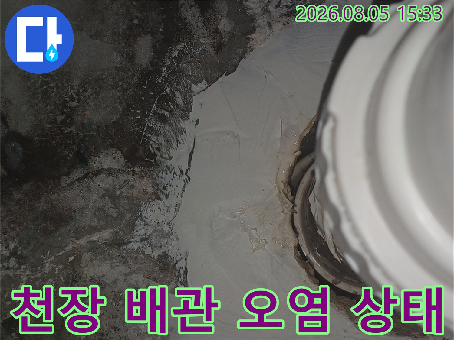화장섭 천장 배관 주변의 젖은 흔적과 검게 변한 곰팡이 오염