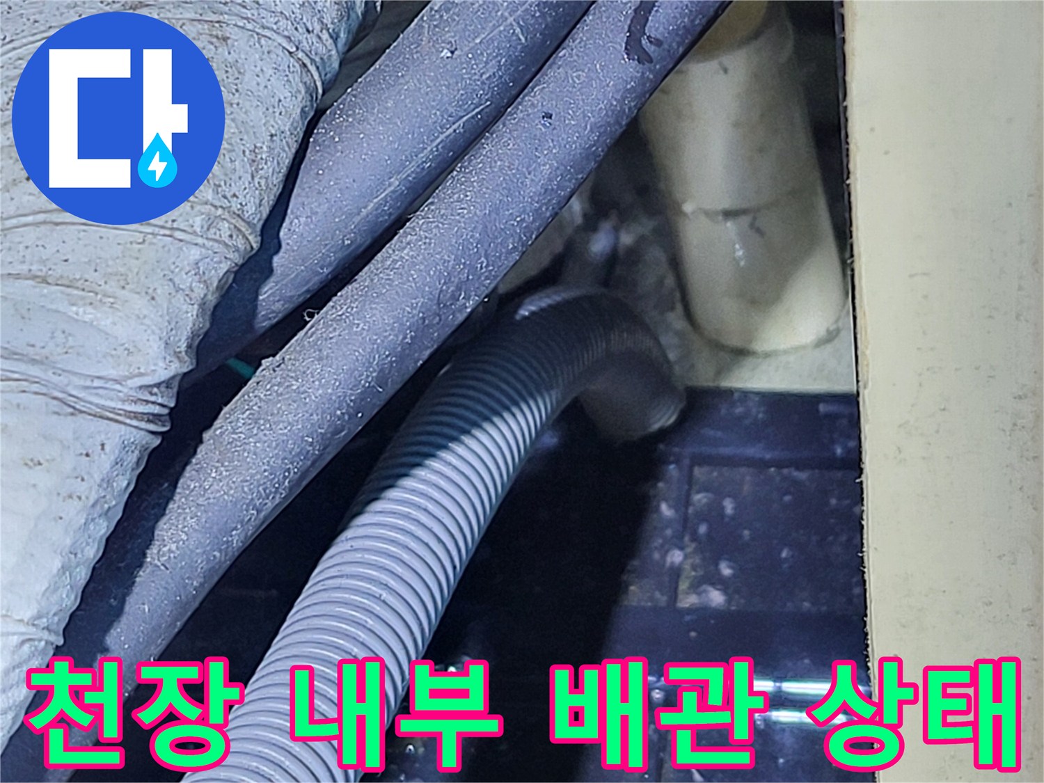 분당 운중동 현장의 천장 내부 배관 및 드레인 호스 모습