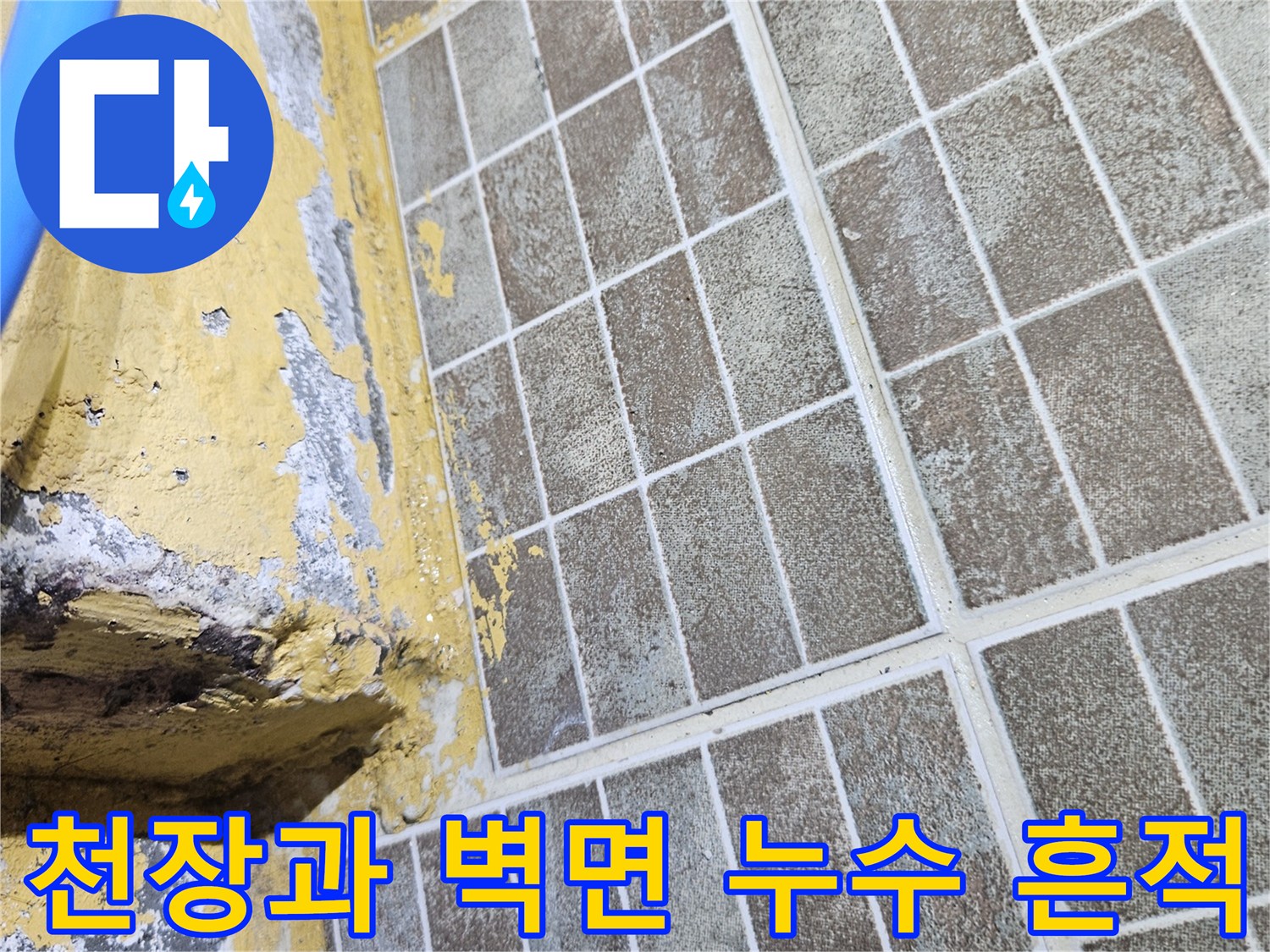 화성 병점 현장의 천장 타일과 노란색 페인트가 벗겨진 벽면 모습