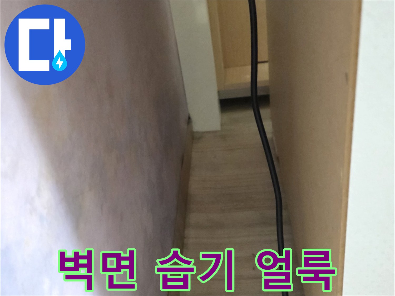 천장-가장자리를-따라-발생한-젖은-얼룩
