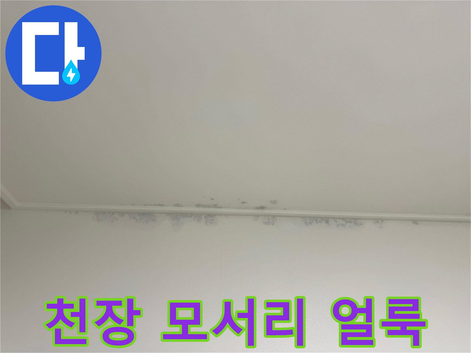 곰팡이가 번진-천장과-벽면 경계