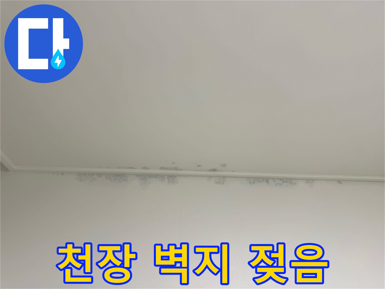습기로 인해 눅눅해진 천장 모서리 부위