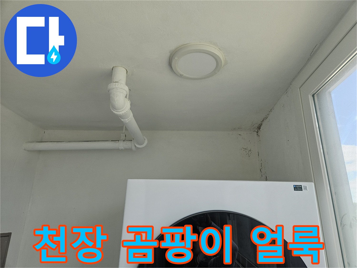 천장 배관 아래쪽의 검은색 곰팡이 발생 상태