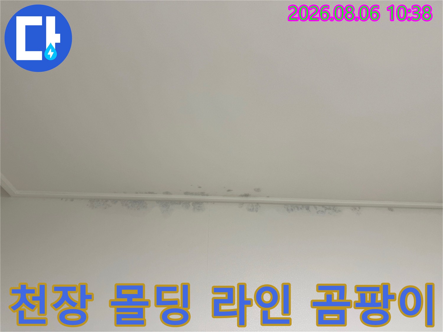 흰색-천장재와-벽지가-만나는-지점에-형성된-누수-유래-곰팡이-얼룩