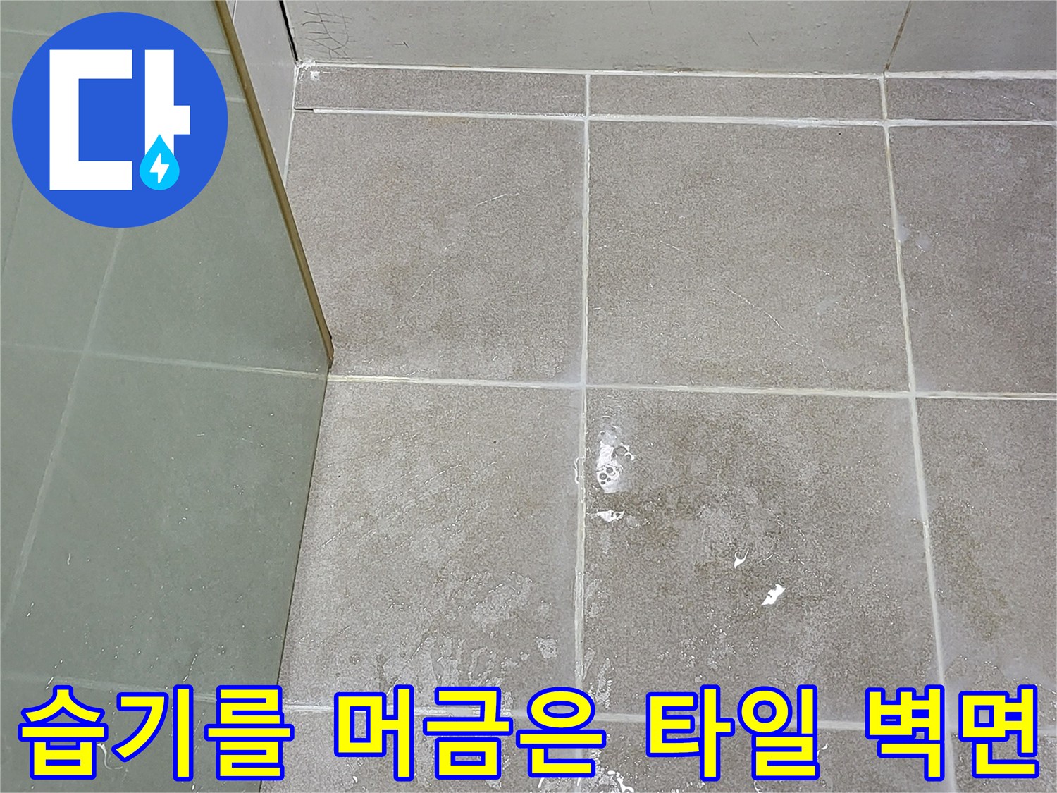 물기가 스며든 화장실 타일과 줄눈 부위의 상세 이미지입니다.