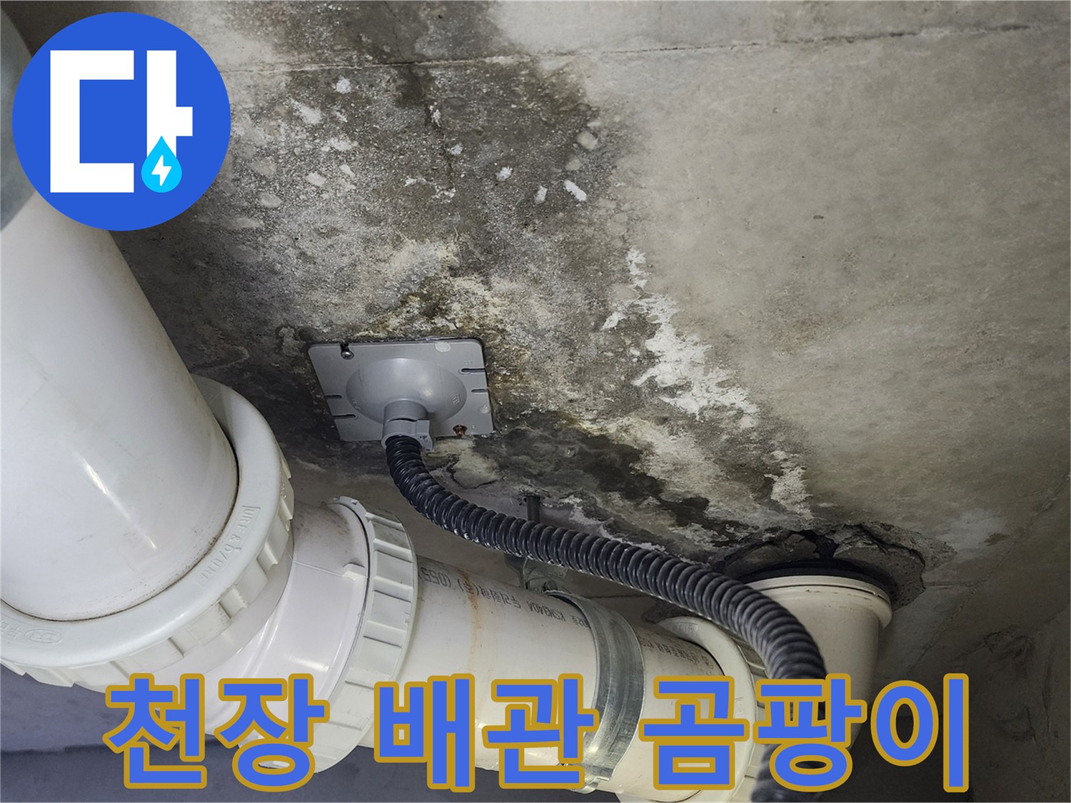 누수가 진행된 화장실 천장 내부의 오염된 모습