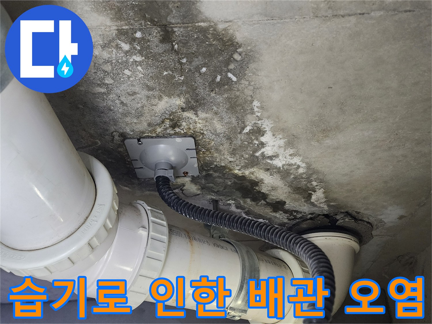 천장-배관-연결부의-누수-흔적과-곰팡이