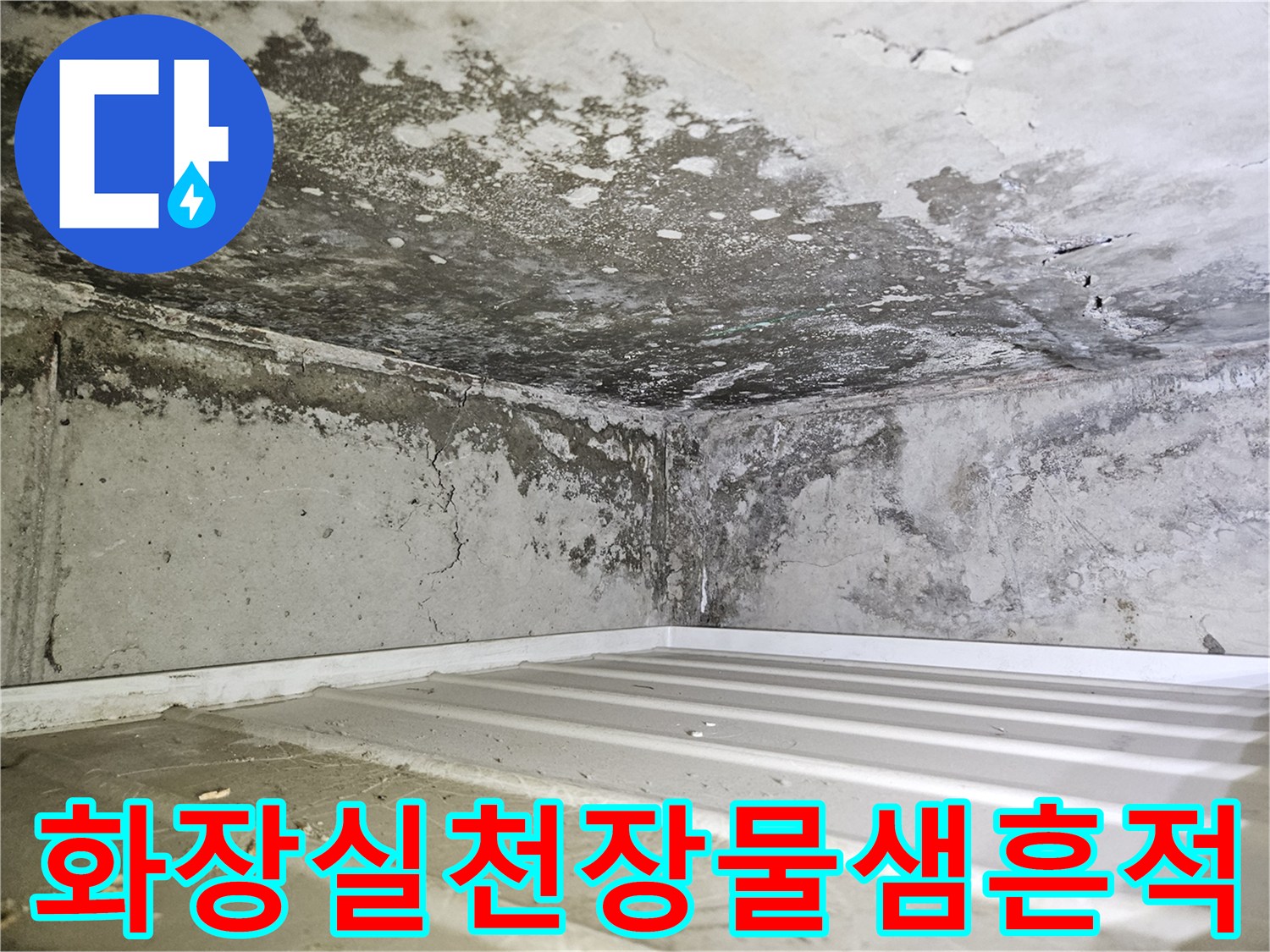 일산동구-화장실-천장-내부-습기-및-곰팡이-상태