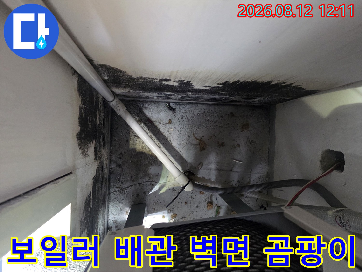 보일러실 내부 점검-벽면의 검은 곰팡이와 배관 연결 상태