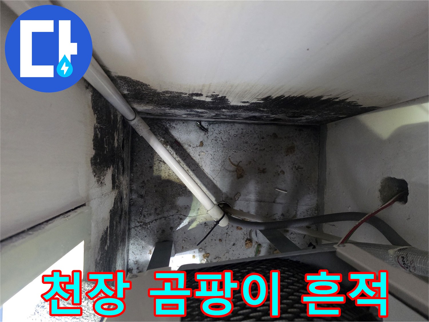 보일러실 천장 경계면의 검은 곰팡이와 습기