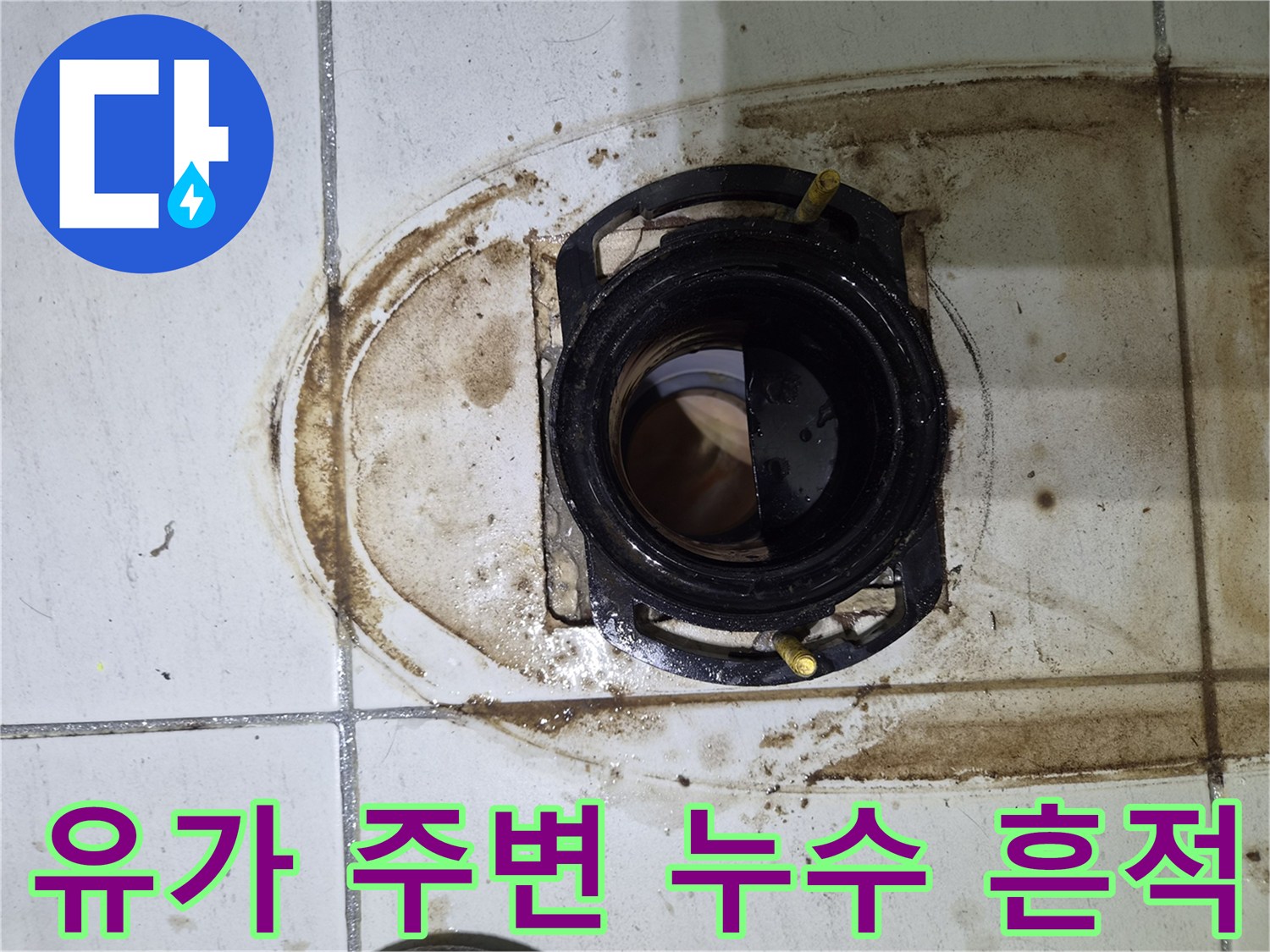 배수구-주변-오염된-타일-및-배관