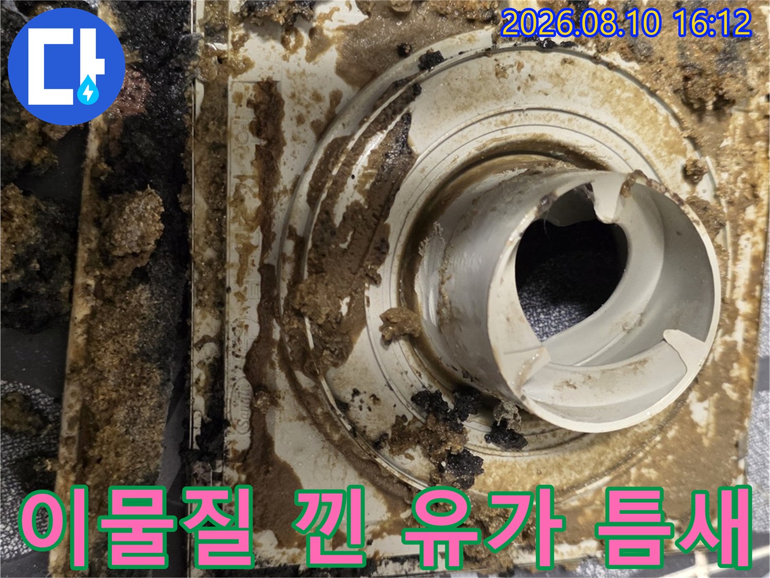 오염물이 가득 쌓인 욕실 하수구 배수구 주변부