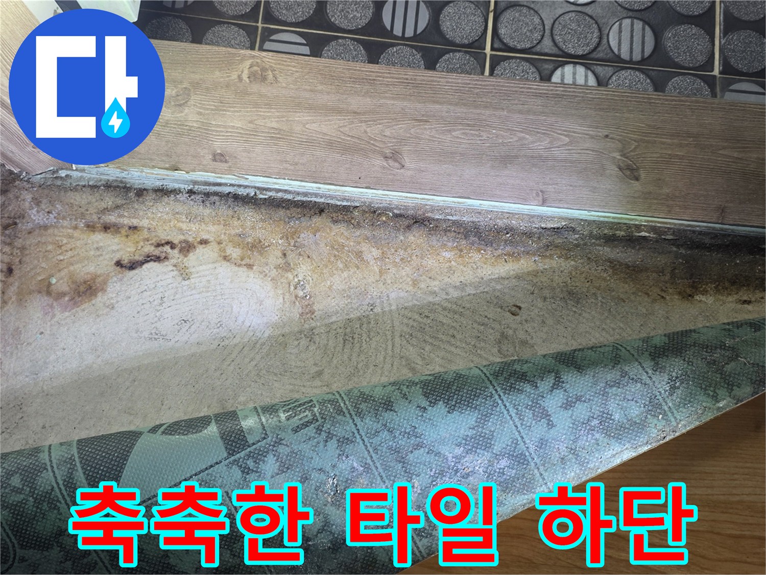 화장실-타일-경계-부분의-심한-습기-및-오염
