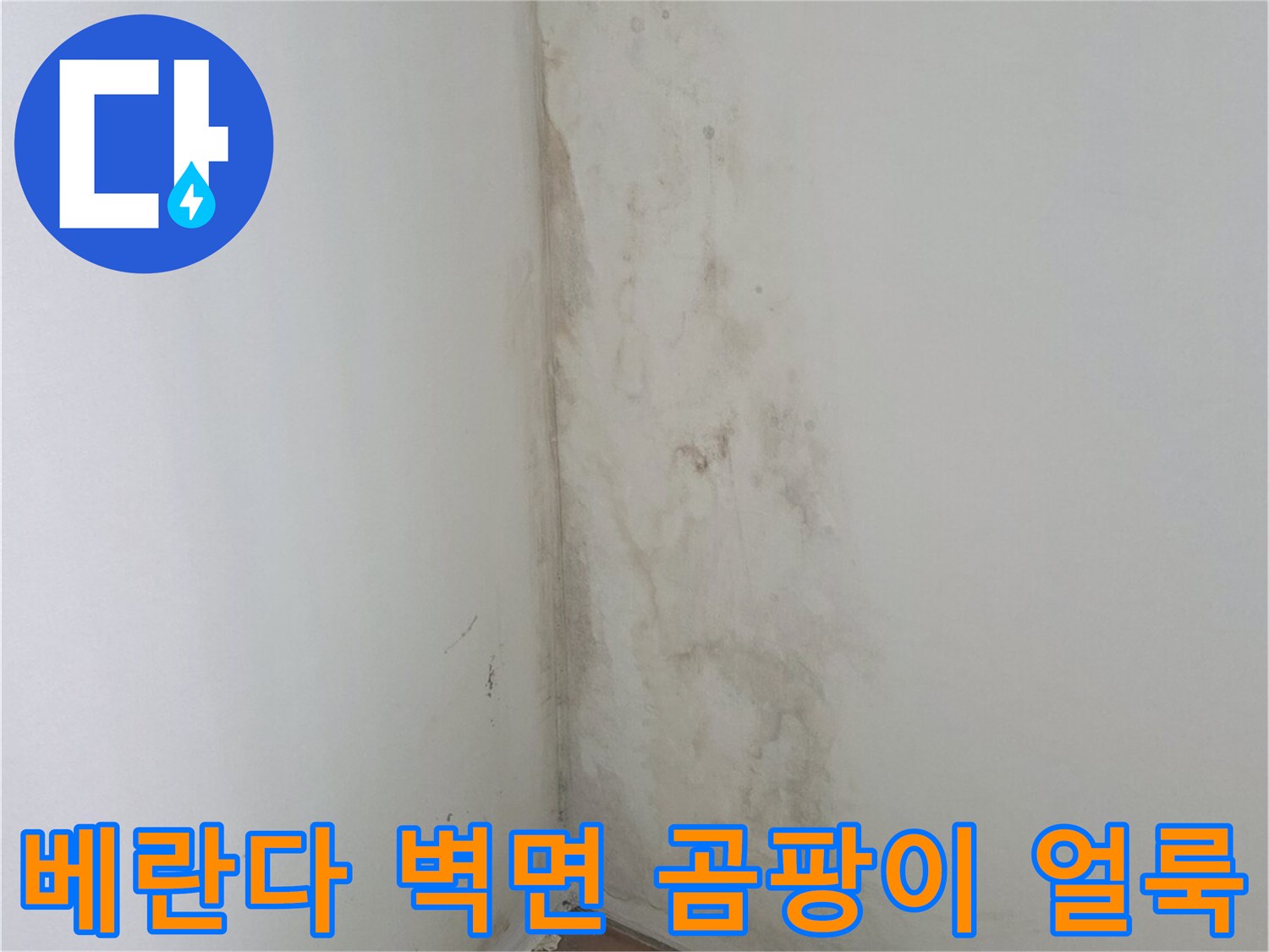 분당구-정자동-아파트-베란다-벽면의-누수-흔적과-곰팡이-오염