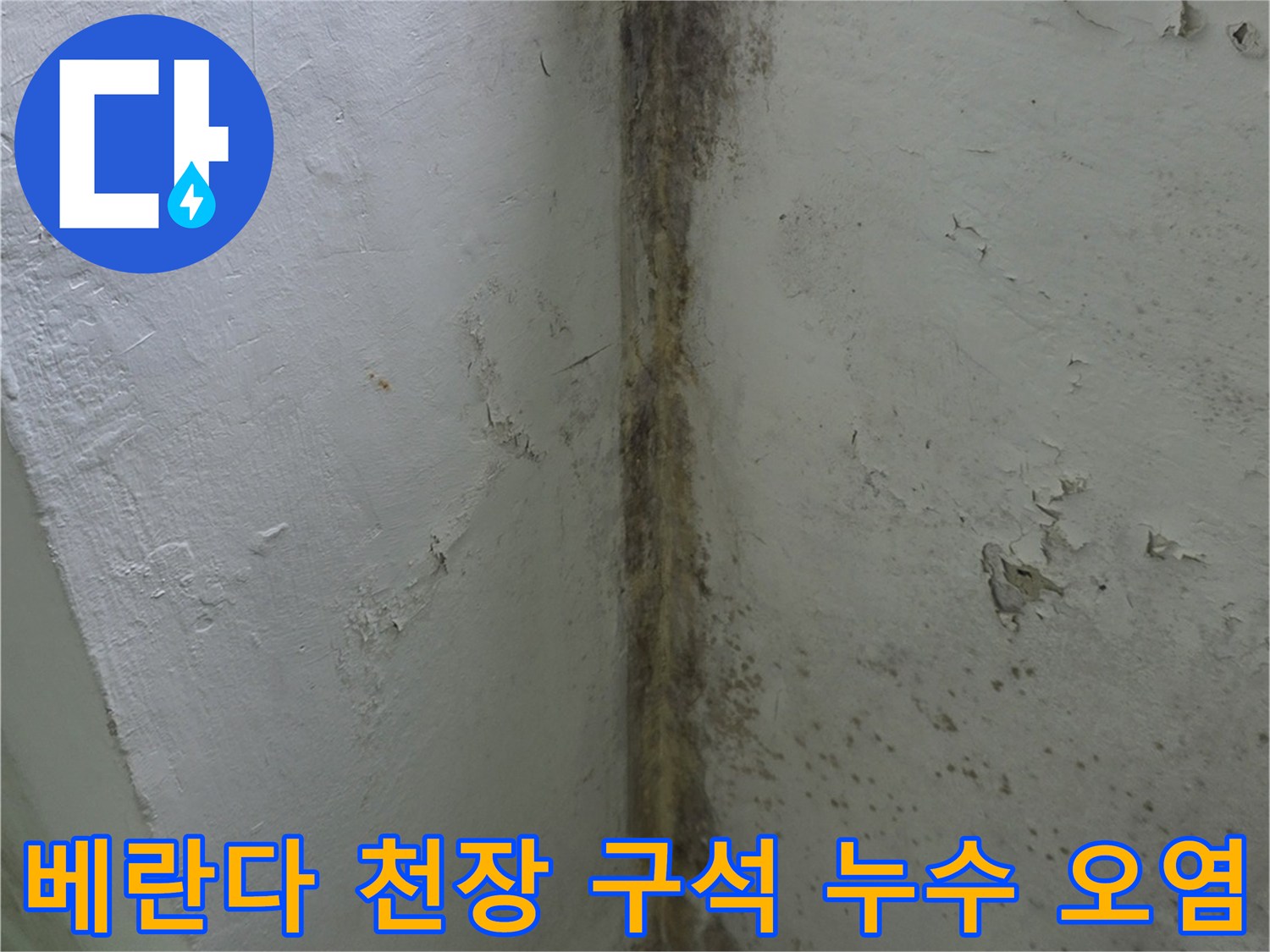 천장-모서리와-벽면이-만나는-지점의-짙은-곰팡이와-물샘-얼룩