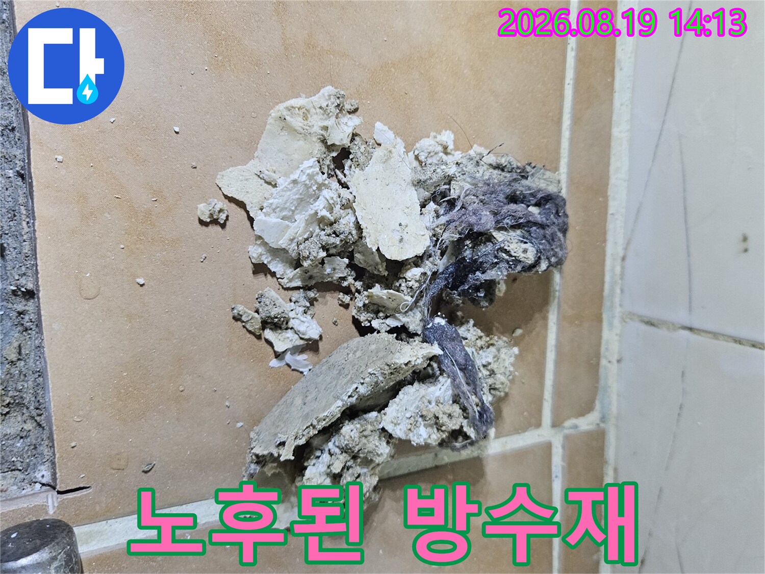 백석동 현장-뜯겨 나간 낡은 방수층과 오염된 배수구 내부