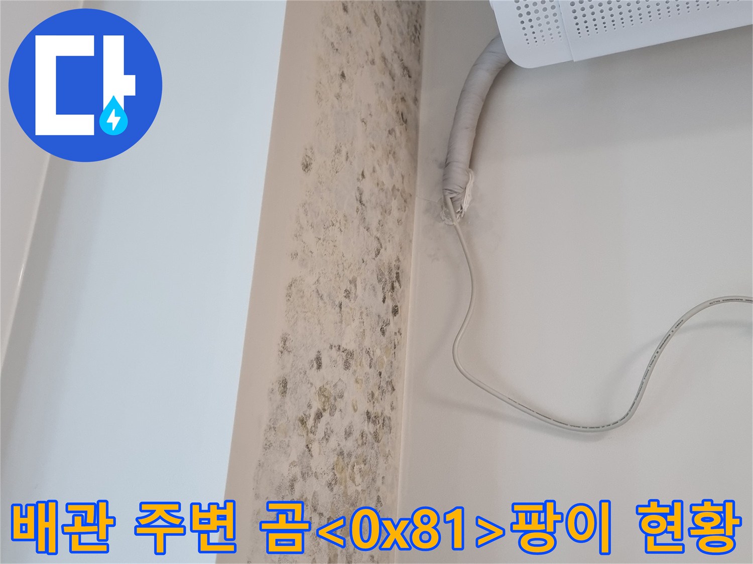 에어컨-배관-연결부-근처의-광범위한-곰팡이-발생-상태