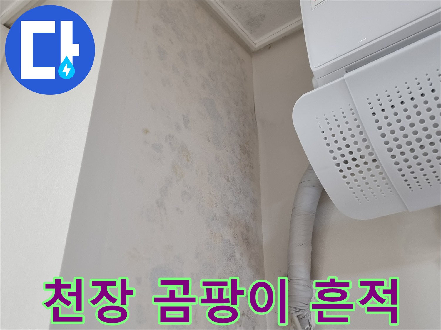 에어컨 배관 주변-벽면 곰팡이 발생 상태