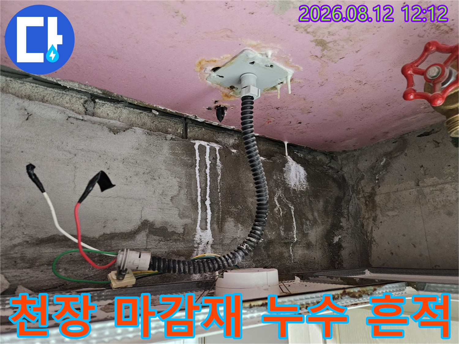 양주 옥정동-천장 배관 주변의 하얀 물때와 누수 흐름 자국