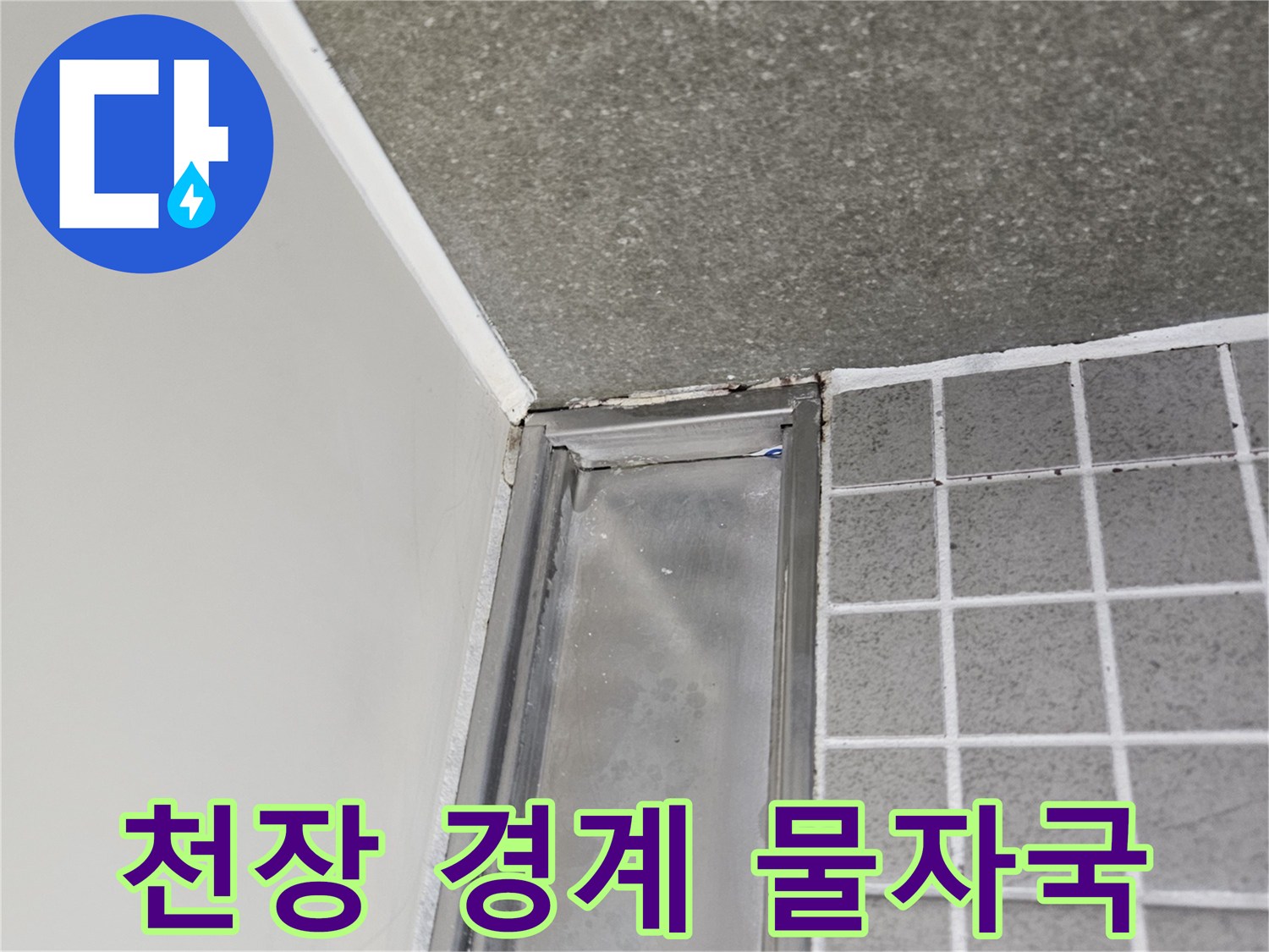 양주 옥정동-타일과 천장 사이의 습윤한 상태