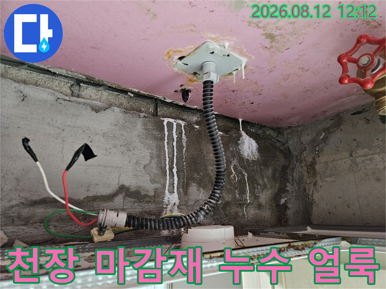 양주 옥정배관 주변-천장 면을 타고 흐른 물 자국과 습한 상태