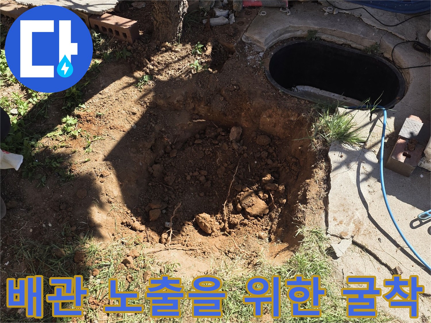 나무 근처 맨홀 주변의 흙을 파서 배관 상태를 점상하는 현장 사진입니다.