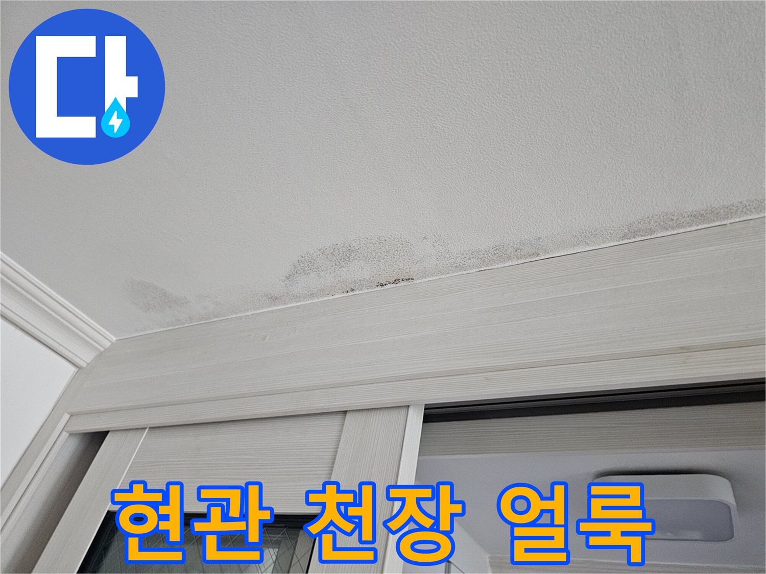 안산 단원구 현관 중문 천장의 젖은 얼룩과 변색된 모습