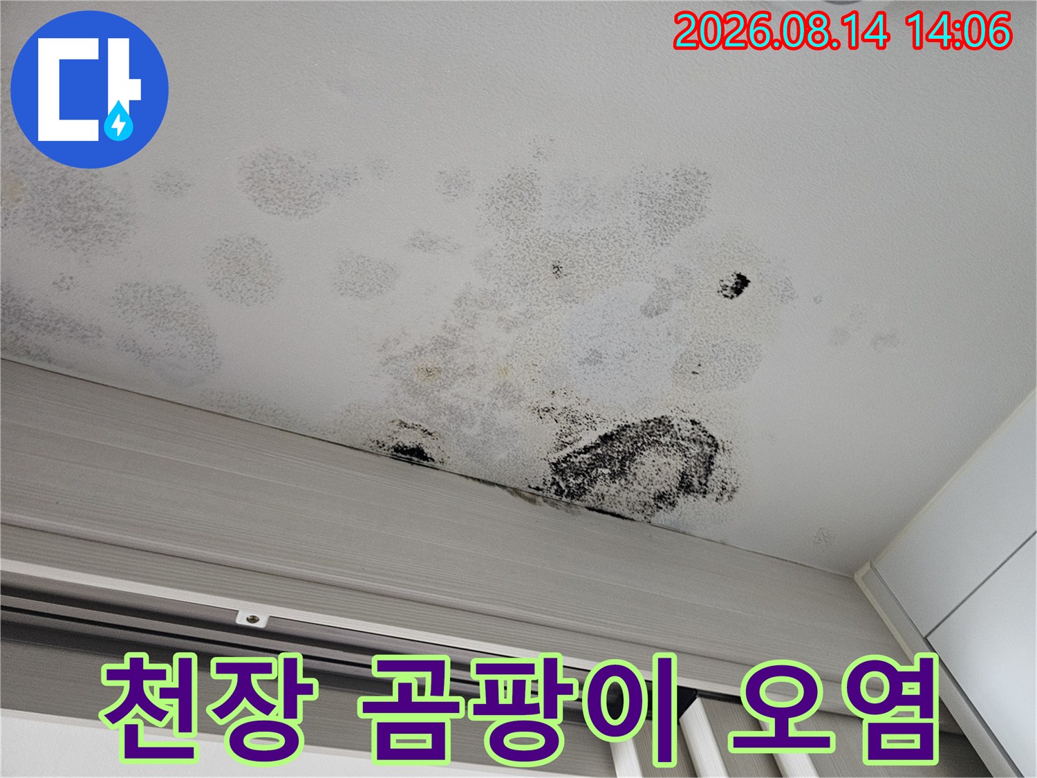 천장 마감재 곳곳에 분포된 곰팡이와 습기로 인한 변색 부위