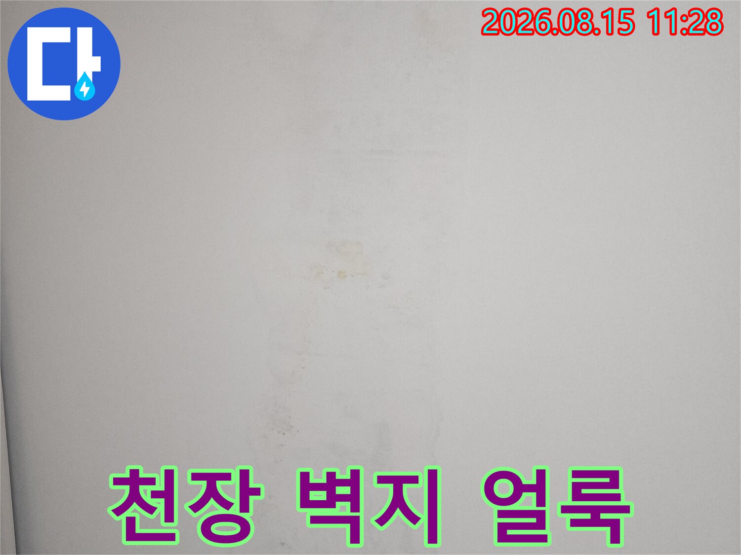 동탄 아파트 천장 벽지에 발생한 누수 흔적과 얼룩 현상
