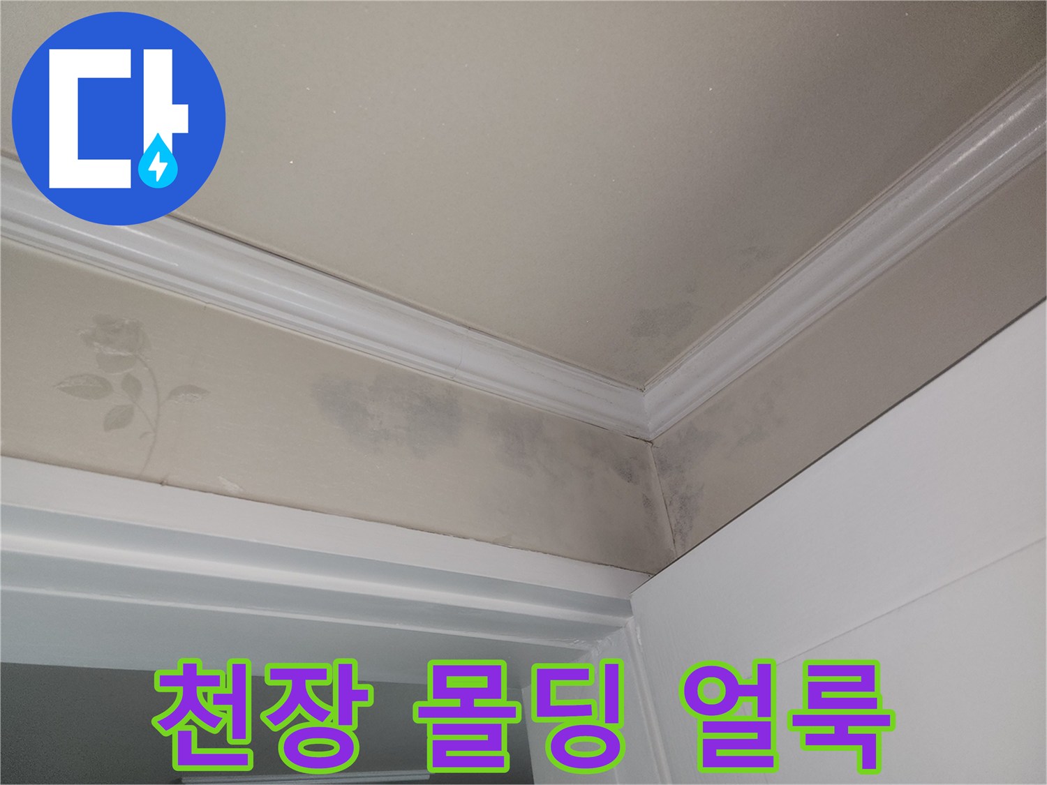 아파트 천장 몰딩 부근에 발생한 젖은 흔적과 변색된 상태