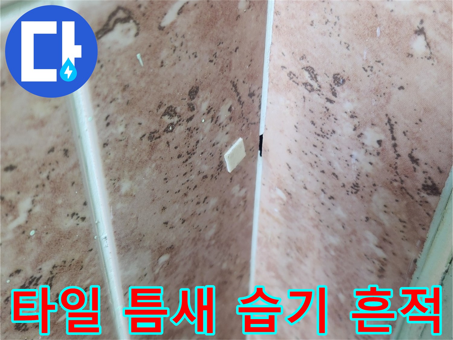 성내동 현장-누수가 의심되는 욕실 타일 줄눈 부위 근접 촬영