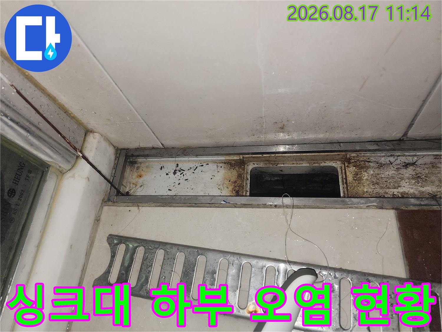 싱크대 배수구 주변-누수로 인해 젖어 있고 곰팡이가 생긴 부위