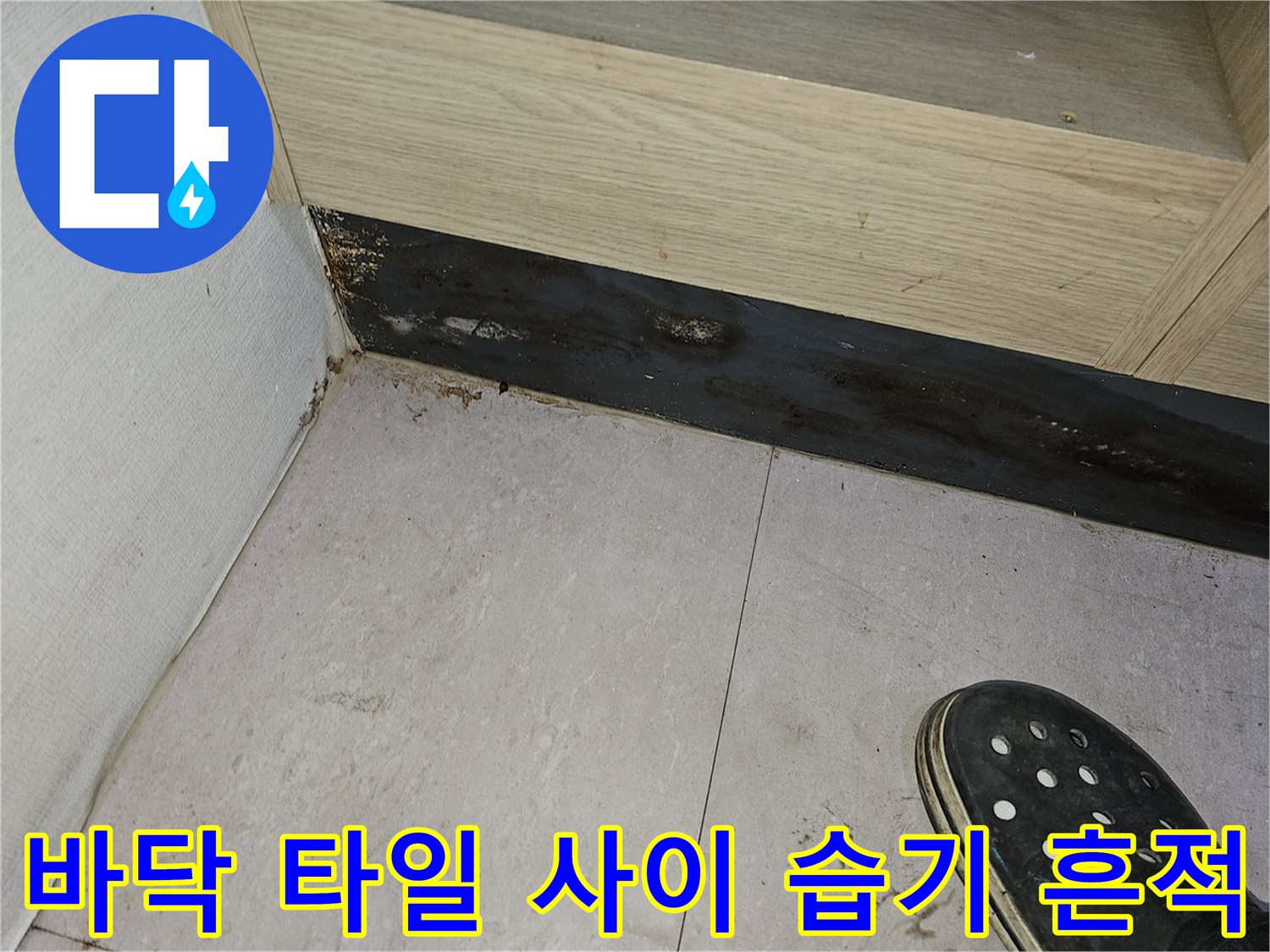 의정부 금오동 현장-젖은 바닥 타일과 하단 마감재의 오염 상태
