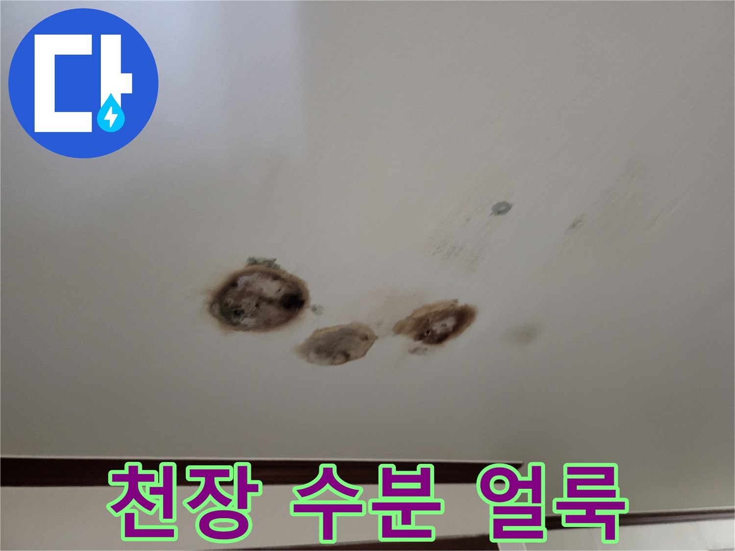 천장 면-물에 젖어 변색된 부분의 상세 모습