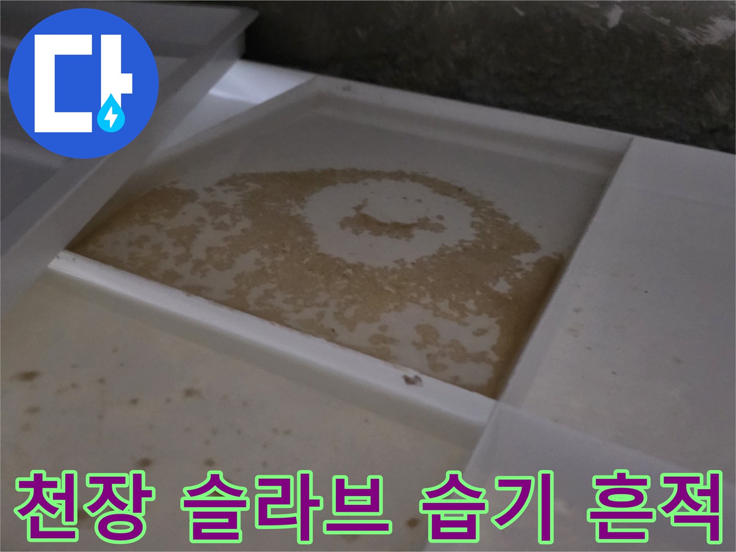 화장실 천장 콘크리트 슬라브 부위에 보이는 젖은 물자국 현황