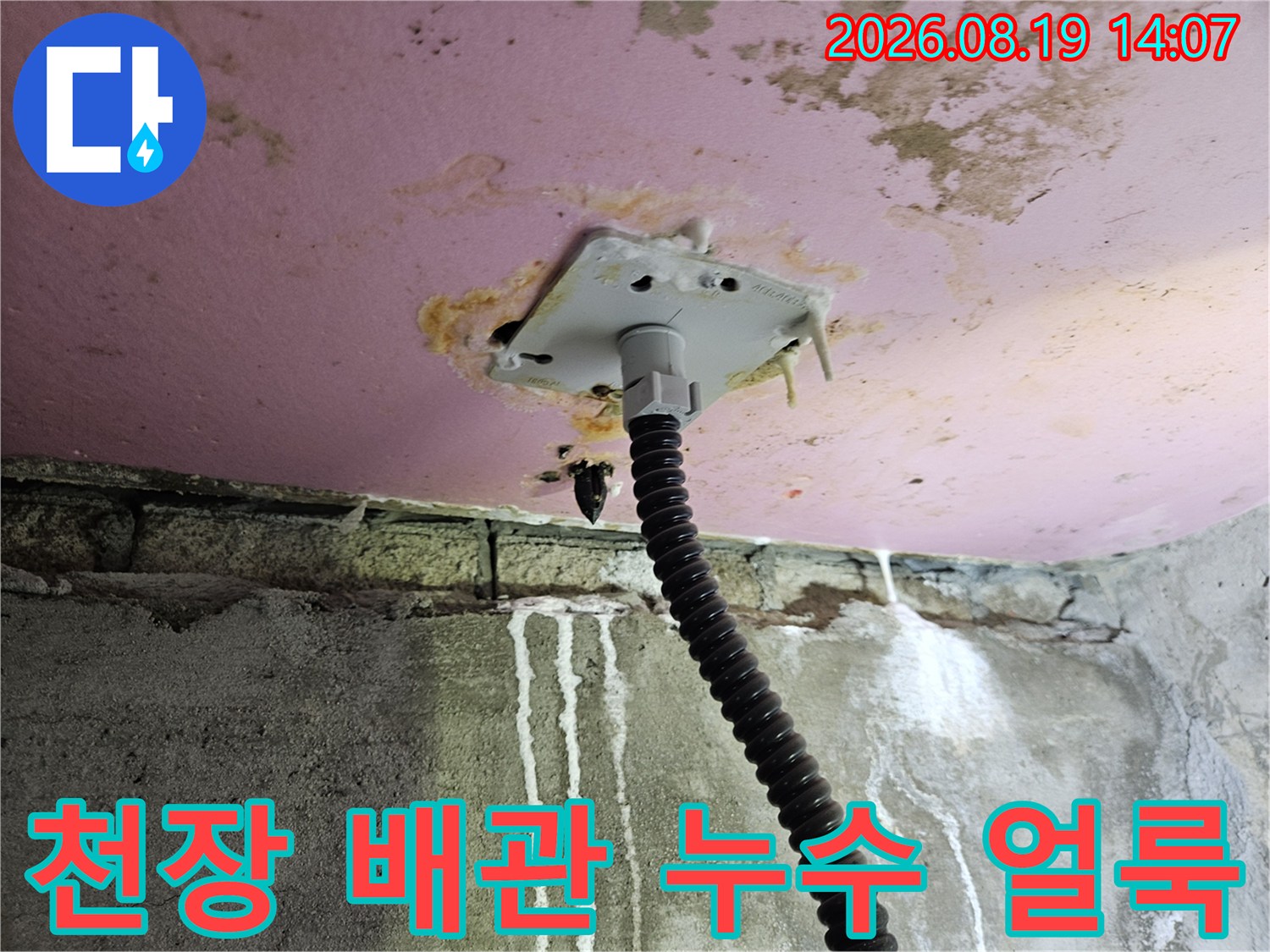분홍 천장-배관 주변의 물샘 흔적과 하얀 석회 자국