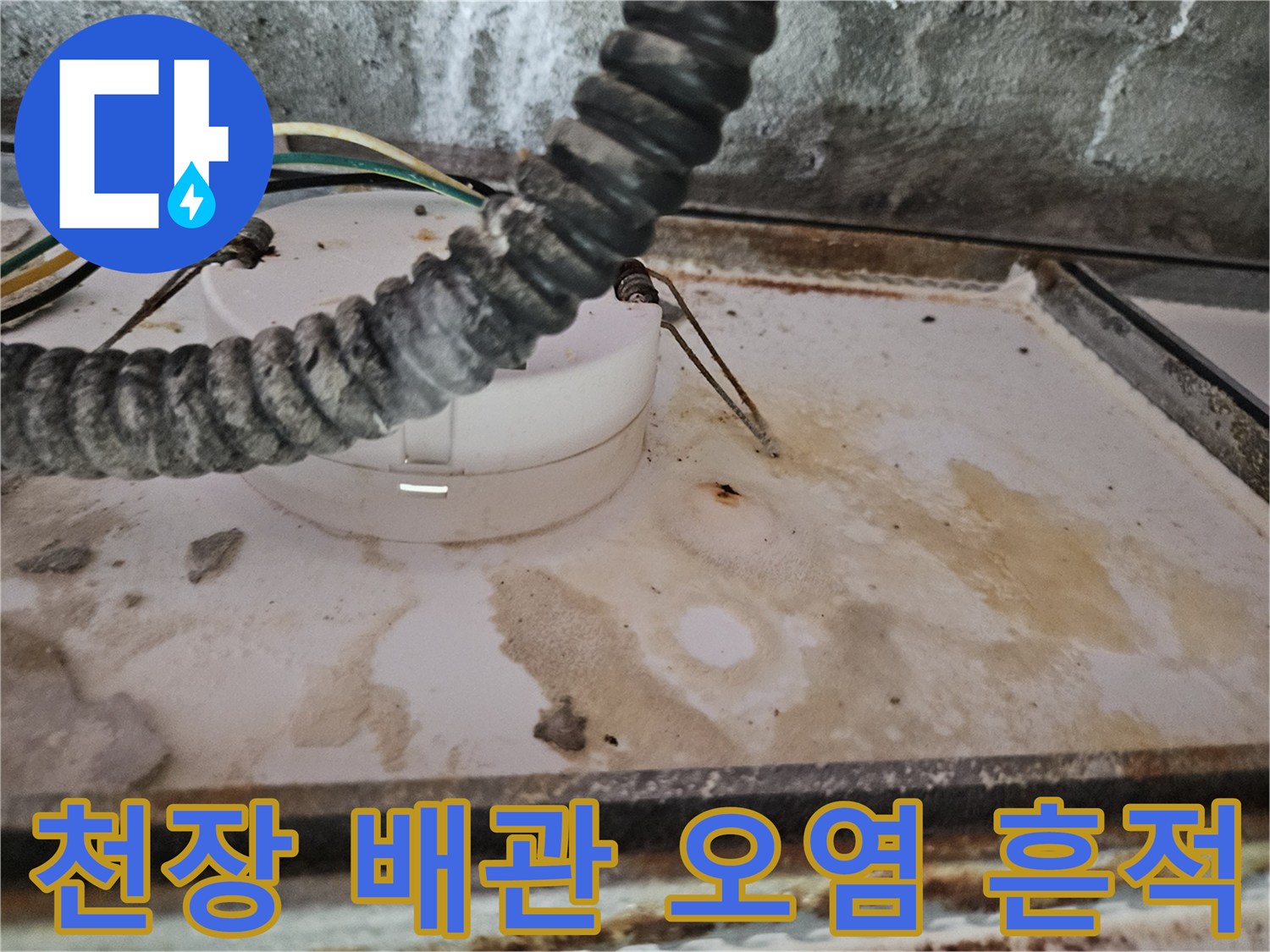 양주 옥정동 현장-누수로 변색된 천장 마감재와 배관 주변
