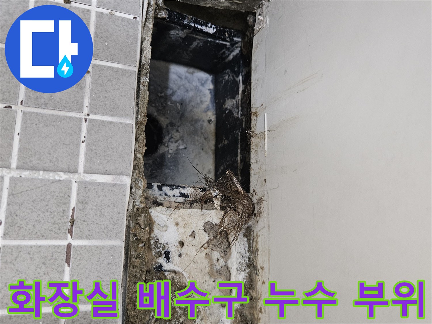 양주 옥정동 현장의-화장실 배수구 주변 누수 확인 상태
