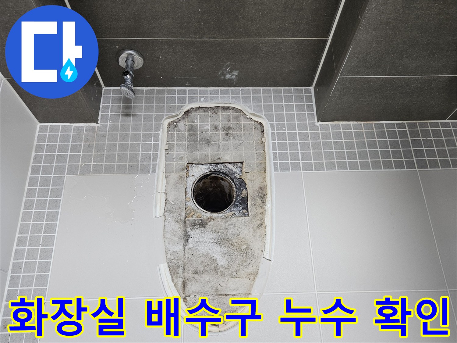 양주 옥정동 화장실-배수구 주변 오염 및 누수 흔적 상태
